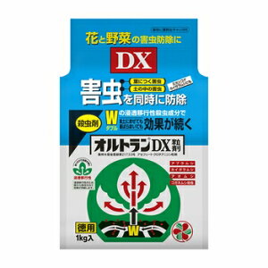 ZFw| IgDX [|p RKlVc AuV AIV RiW~   ϗtA Q E] 1kg yll24_z