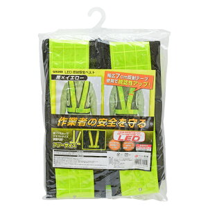 GISUKE LEDˈSxXg ×CG[