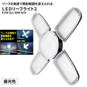 SK11 LED[tCg280W [Ï F  ԐڏƖ V[P[X] SLL-80W-ACN