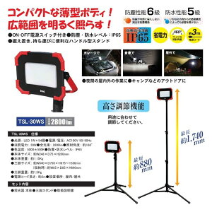 OR[|[V Or^LED30W TSL-30WS