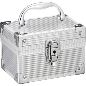 JEJAXe[W(ACCS) ~jA~P[X [H 17.5×13×13cm] AL-M