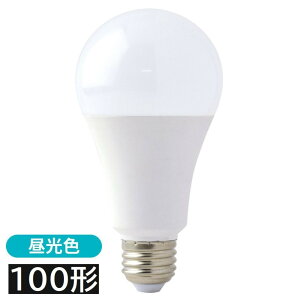 OR[|[V trad LEDd F 100` [Cg Ɩ ֋] CLT-14W