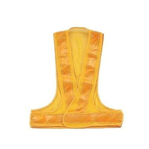 g[[ZteB[ SxXg vYˎEiCbV(xXg`) No.64@F/