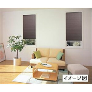 tlX njJuCh  60×135 BR(uE) [VF[h fM ۉ a _rO] L6315