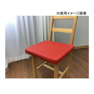 �L���[�G�[ ���U�[�ᔽ���N�b�V���� �X�N�G�A 40×40×4cm [���z�c �C���e���A �t�F�C�N���U�[] RE(���b�h)