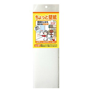 �����e�b�N ������ƕǎ� 30cm×30cm [�V�[���^�C�v �E�H�[���X�e�b�J�[ ��C ���S�� �����OK �\�邾��] 2���� KF342