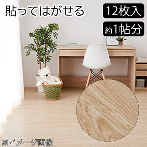 yP[Xz EbhtA^C 06 LBE (4955872828510×12) [ t[O tH[ DIY 1 1] 91.4×15.2×0.3cm