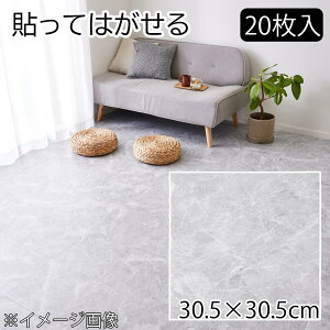 yP[Xz Xg[tA^C SFT-22 SSA (4955872920177×20) [\Ă͂  t[O tH[ DIY] 30.5×30.5×0.3cm