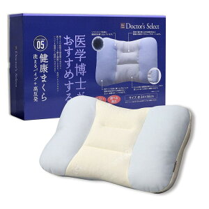 D's collection wm߂錒N܂ 05 (􂦂 pCv + ) 34×56×13cm [ ܂ Q ] DS4114