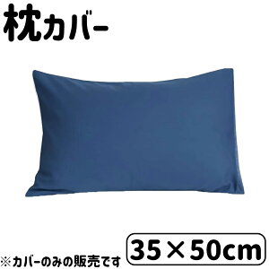 D's collection ���J�o�[ ���n 35×50cm [�܂���J�o�[ ���o�[�V�u��] DSR2250 �l�C�r�[