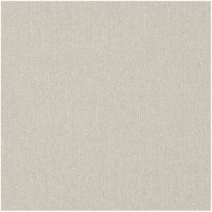 yP[X̔zaOrA ^CJ[ybg 50×50cm AC{[ 20 [Ɩp }bg ~  ItBX h Ód h] ECOS MJ-1006