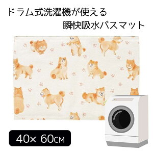 IJg[ h@guzoX}bg 40×60cm [C  R hL @OK] VoCk