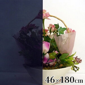 aOrA V[gȃGl 46×180cmX[N [CeA KX vCoV[ی ډB ȒP OJbg ȃGl] GP-4691