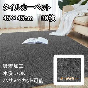 ���a �^�C���J�[�y�b�g 45×45cm 30���� �_�[�N�O���[ [�t���A�}�b�g �~�� �z�� �n�T�~�ŃJ�b�g ���� �₦ �� �y�b�g] HM-TM4545-DARKGRAY