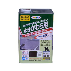 ATqy piRRibcuEj y14Lz