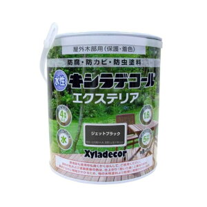 �J���y�p�s�I �����L�V���f�R�[�� �G�N�X�e���AS �W�F�b�g�u���b�N 1.6L