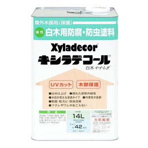 KXP~J LVfR[i؁u₷炬vj y14Lz