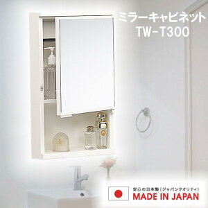 v ~[Lrlbg [  ~[ [ [ OK] TW-T300