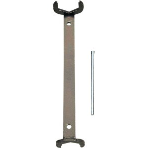 SANEI ibgtH [H  z Xpi] R355