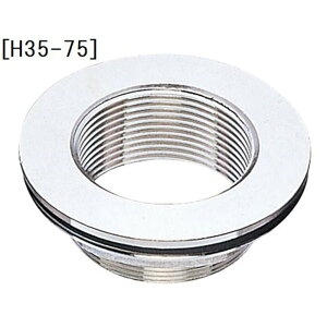 SANEI ^Nt [gC   pbLt] H35-75