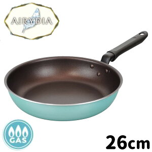 atCY GA[_CyKXΐpztCp (26cm) [ y y g₷] RB-2679