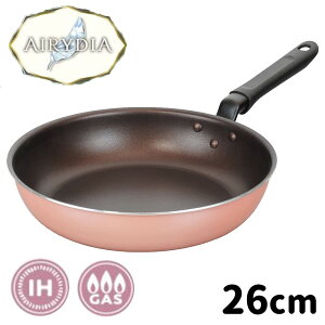 atCY GA[_CyIHΉztCp (26cm) [ KXΑΉ y y g₷] RB-2685