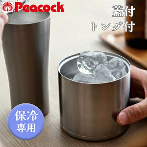 s[RbN  ~jACXy[ [ۗp Wt gOt] IBC-55(XA) XeX