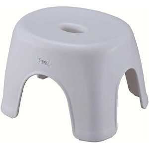 AXx G~[ C֎q ʍ24cm [ CX oX`FA] O[