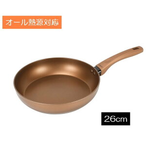 �p�[������ VISIONS (�r�W����) GOLD Coating IH�Ή��f�B�[�v�p�� 26cm [������� ���� �u�ߕ� �t���C�p�� �I�[���M���Ή�] CP-8812