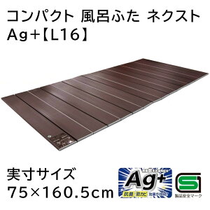 I[G RpNg Cӂ lNXg Ag+ yTCY:75×160.5cmz uE [^ X݌v R hJr] L-16