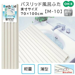 I[G oXbh Vb^[ Cӂ yTCY:70×100cmz AC{[ [t^ W Jo[  RpNg ۉ] M-10