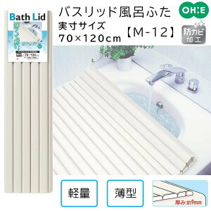 I[G oXbh Vb^[ Cӂ yTCY:70×120cmz AC{[ [t^ W Jo[  RpNg ۉ] M-12