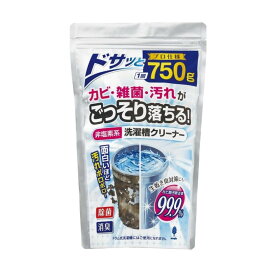 【6/4 20:00～6/11 01:59 エントリーでポイント10倍】紀陽除虫菊 非塩素系洗濯槽クリーナー　プロ仕様 750g