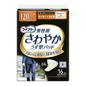 jE`[ Ct[ ₩pbhjp łSp [pi rPA APApbh] z120cc 16(ÔTΏۏi)