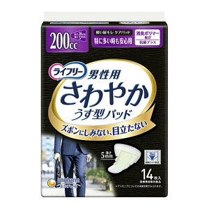 jE`[ Ct[ ₩pbhjp ɑSp [pi rPA APApbh] z200cc 14(ÔTΏۏi)