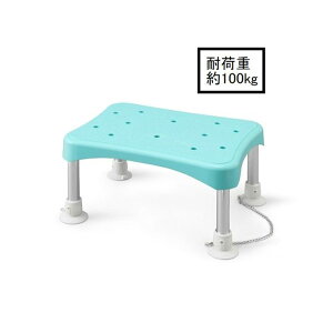 ACXI[} Xebv&CoX`FA [ CX T|[g ω׏d100kg ] YS-200 O[