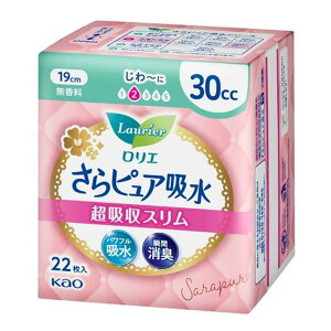 ԉ G sAz zX 30cc [zpeBCi[ yx A L 炳] 22