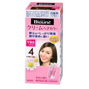 ԉ u[l N[wAJ[[pwAJ[      Z] 4 ▾邢IF[򕔊Oi]