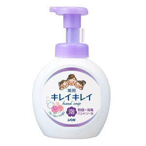 LION(CI) LCLC pAnh\[v t[\[v̍ [ E  蔧 A^Cv] {̑^TCY500ml [򕔊Oi]