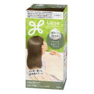 ԉ [[ AJ[ [wAJ[ p  ѐ Z[X g^Cv] I[uAbV [򕔊Oi]