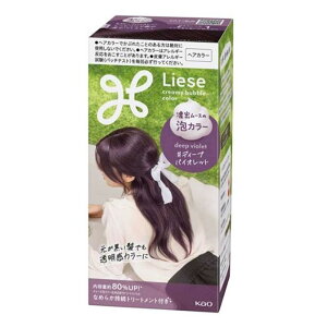 ԉ [[ AJ[ [wAJ[ p  ѐ Z[X g^Cv] fB[voCIbg [򕔊Oi]