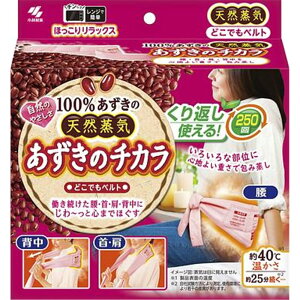 ѐ ̃`J ǂłxg [C M dqW JԂ bNX  w  ] 1