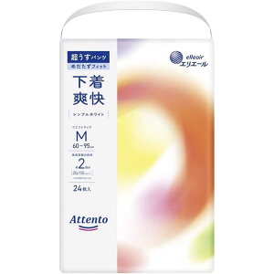 y݌ɏz剤 GG[ Aeg pc u VvzCg MTCY [ l ނ] 24 [ÔTΏەi]