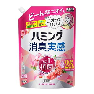 ԉ n~OL [Yt[̍ [_  L R hJr ԕubN] 950ml(߂p)