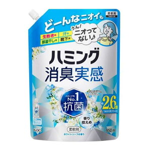 ԉ n~OL zCg\[v̍ [_  L R hJr ԕubN] 950ml(߂p)