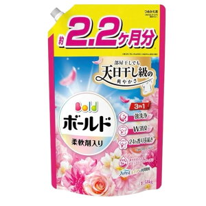 P&G {[hWF ؂₩v~AubT̍ ߂p [  ߗ  t _ܓ l] EgW{TCY1580g