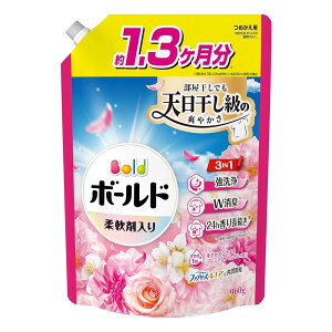 P&G {[hWF ؂₩v~AubT̍ ߂p [  ߗ  t _ܓ l] W{TCY960g