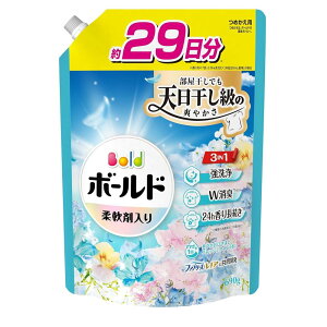 P&G {[hWF u₩tbVt[T{̍ ߂p [  ߗ  t _ܓ l] TCY690g