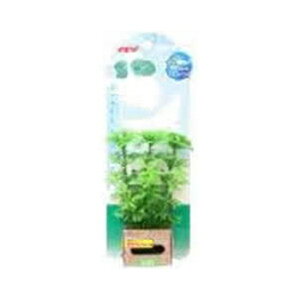 y݌ɏzGEX WFbNX veA AuAZbgS