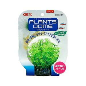 y݌ɏzGEX WFbNX vch[ zgjA